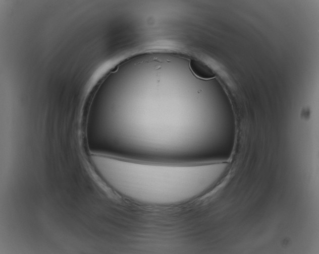 X0000093401469200710120846