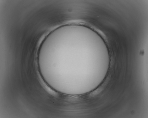 X0000093401470200710120846