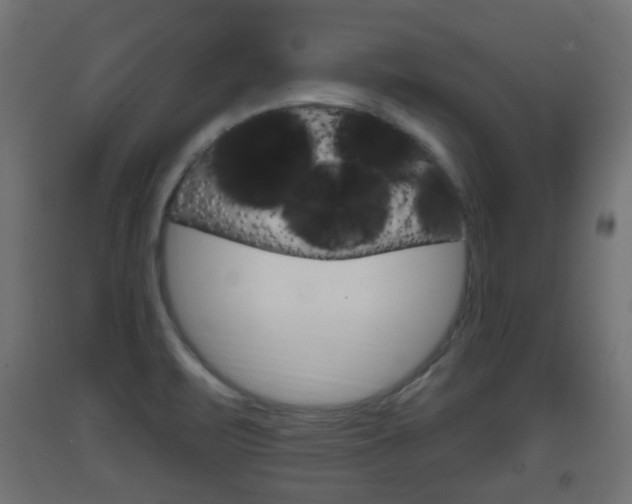 X0000093401471200710120846
