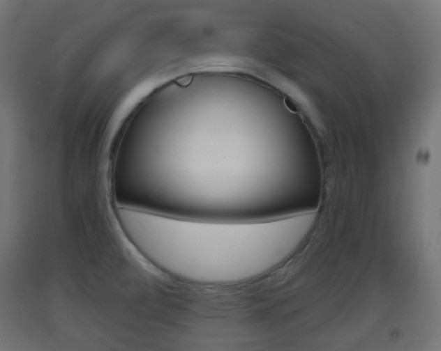 X0000093401472200710120846