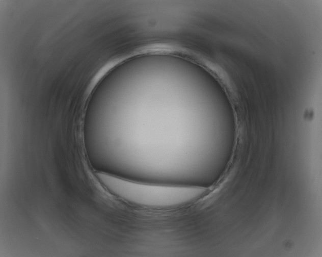 X0000093401473200710120846