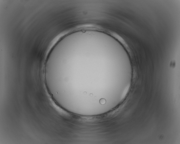 X0000093401474200710120846
