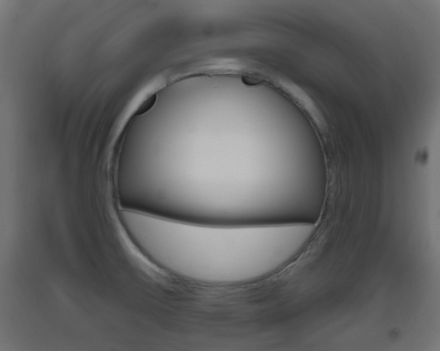 X0000093401475200710120846