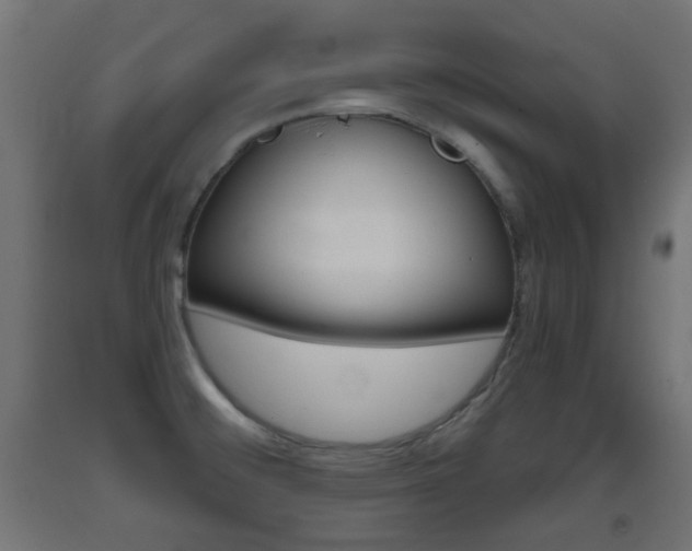 X0000093401476200710120845