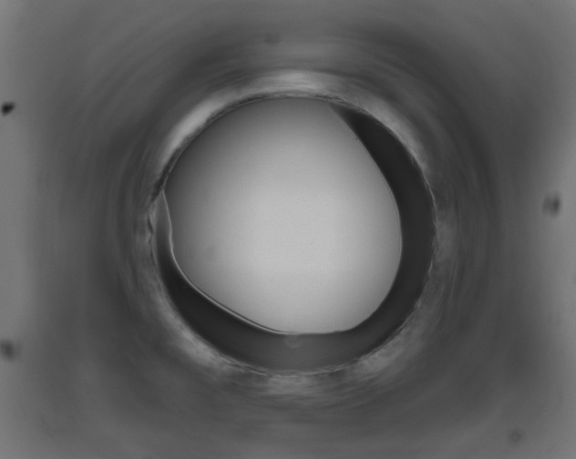 X0000093401477200710120845