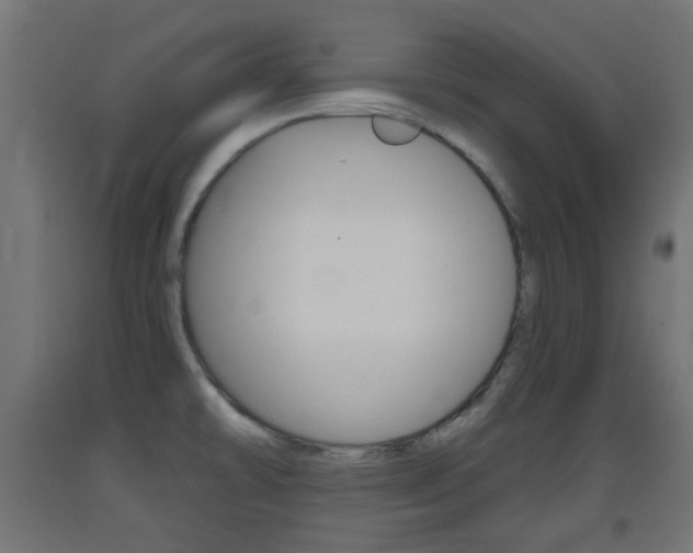 X0000093401478200710120845