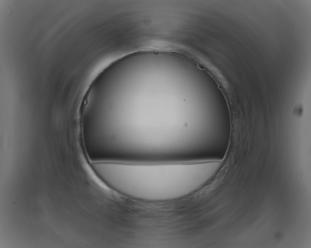 X0000093401479200710120845