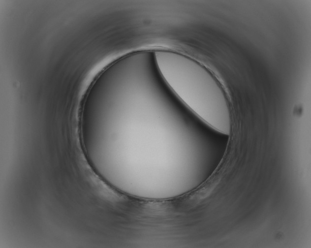 X0000093401480200710120845