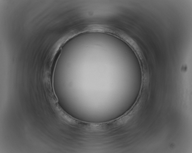 X0000093401481200710120845
