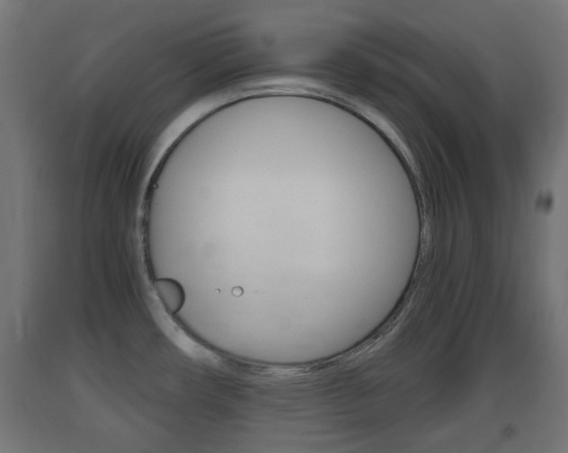 X0000093401482200710120845