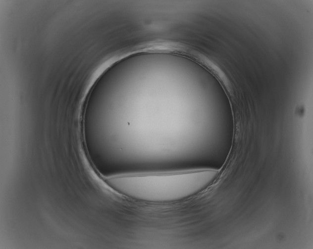 X0000093401483200710120845