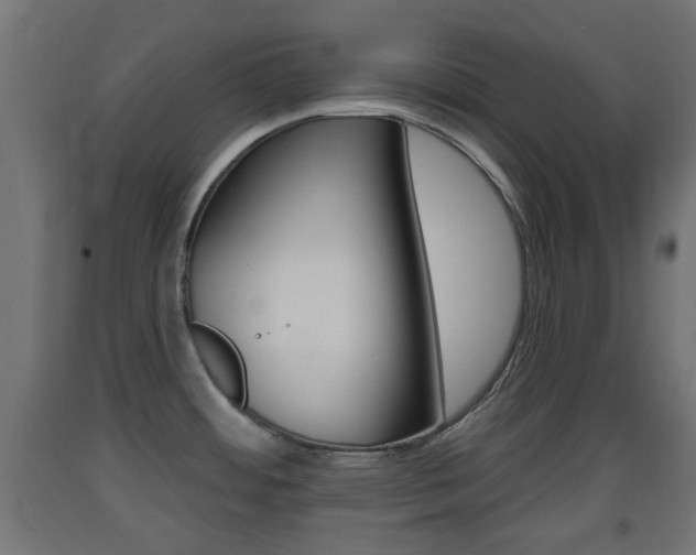 X0000093401484200710120845