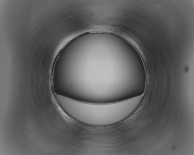 X0000093401485200710120845