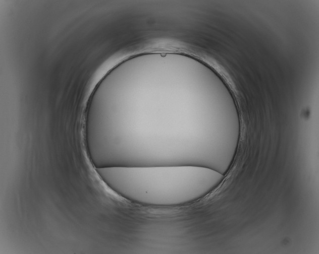 X0000093401486200710120845