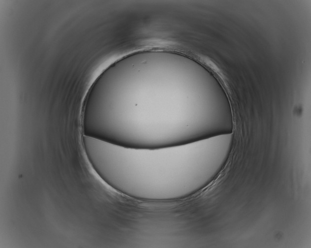 X0000093401487200710120845