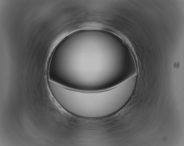 X0000093401488200710120845