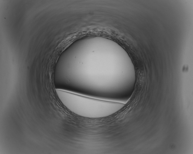 X0000093401489200710120845