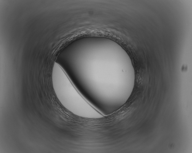 X0000093401490200710120845