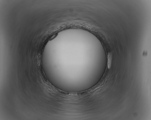 X0000093401491200710120845