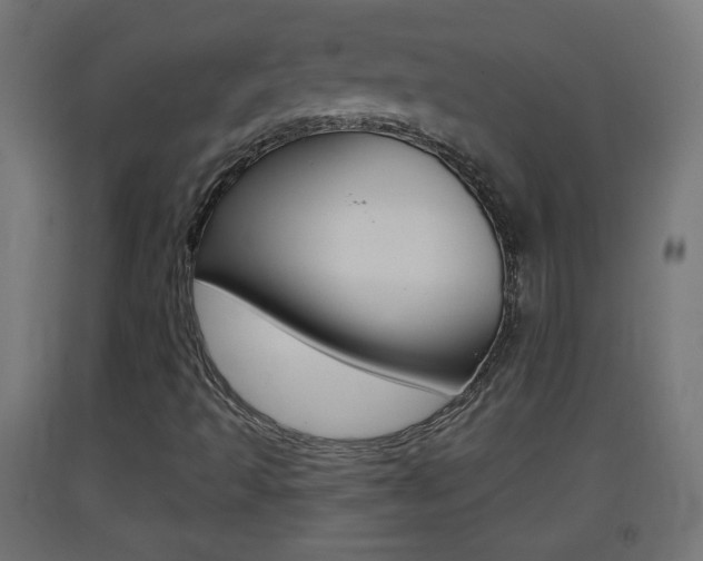 X0000093401493200710120845