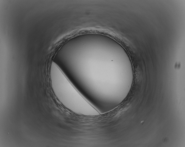 X0000093401494200710120845
