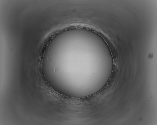 X0000093401495200710120845