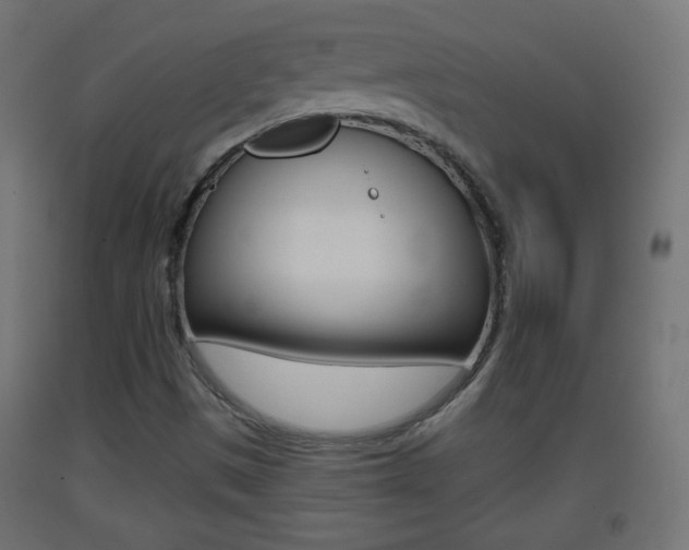 X0000093401497200710120845