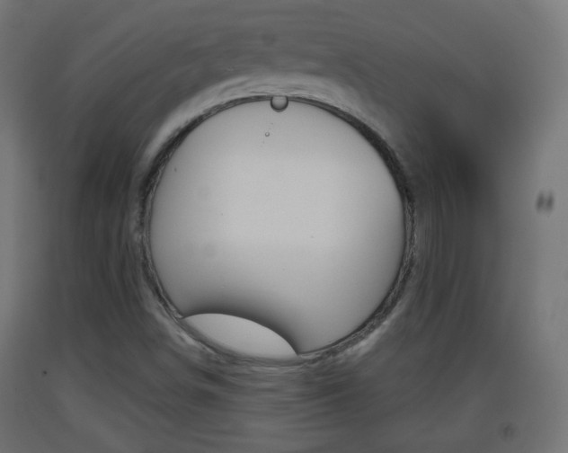 X0000093401498200710120845