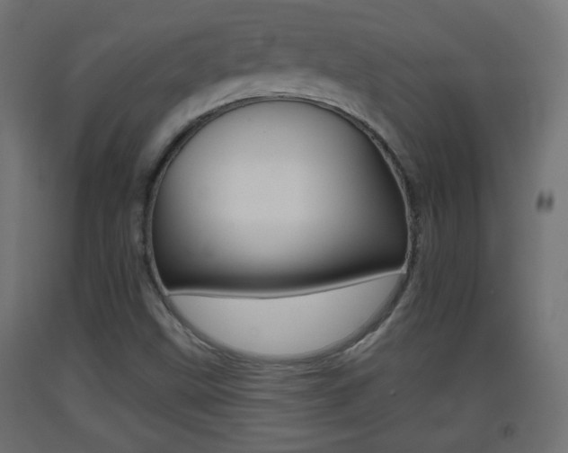 X0000093401499200710120845