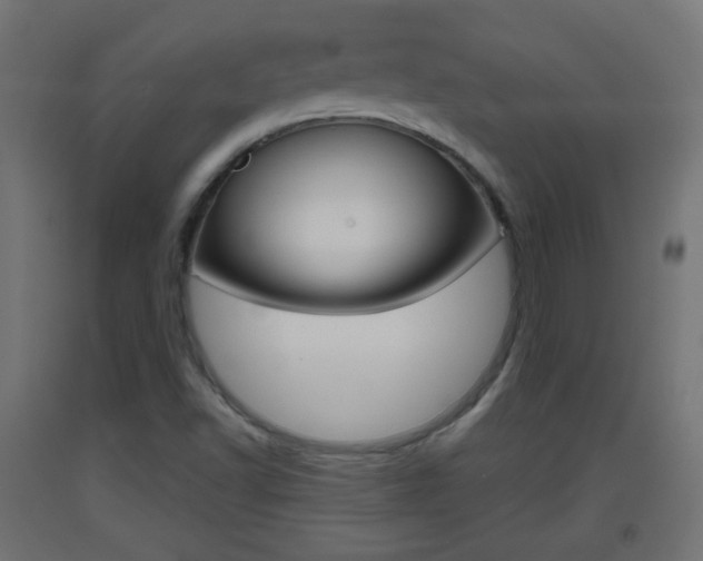 X0000093401502200710120845