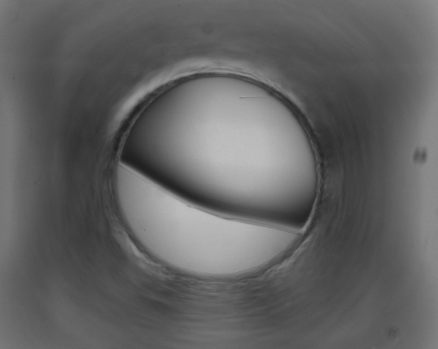 X0000093401503200710120845