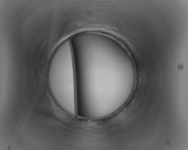 X0000093401505200710120845