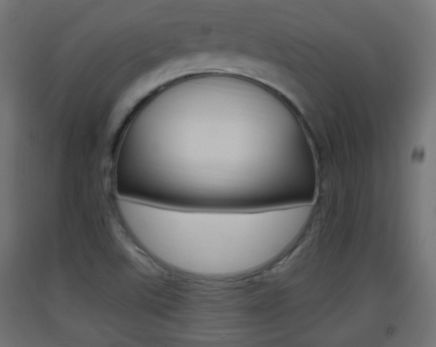 X0000093401507200710120845