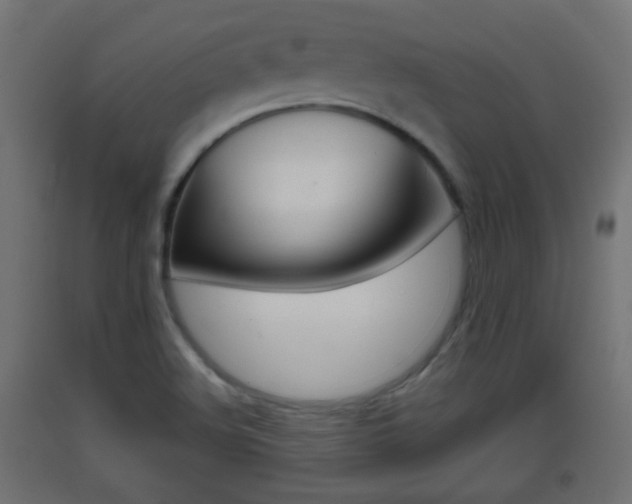 X0000093401508200710120845