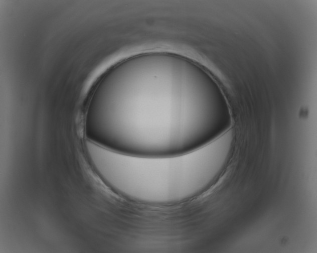 X0000093401510200710120845