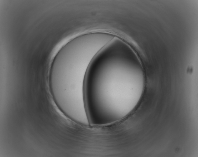 X0000093401512200710120845