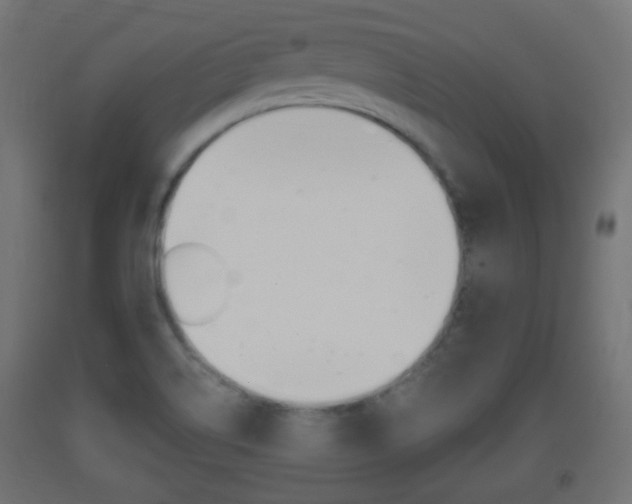 X0000093401514200710120845