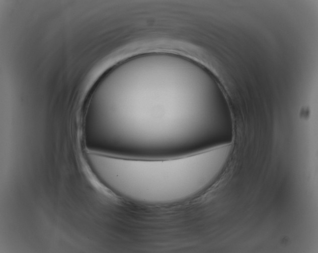 X0000093401515200710120845