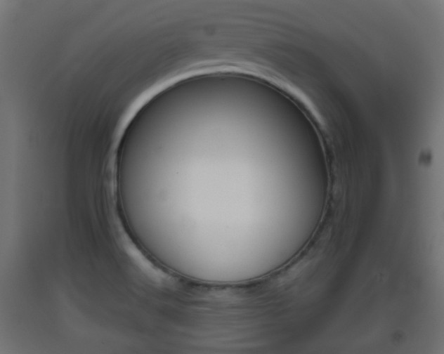 X0000093401516200710120845