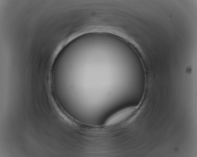 X0000093401517200710120845
