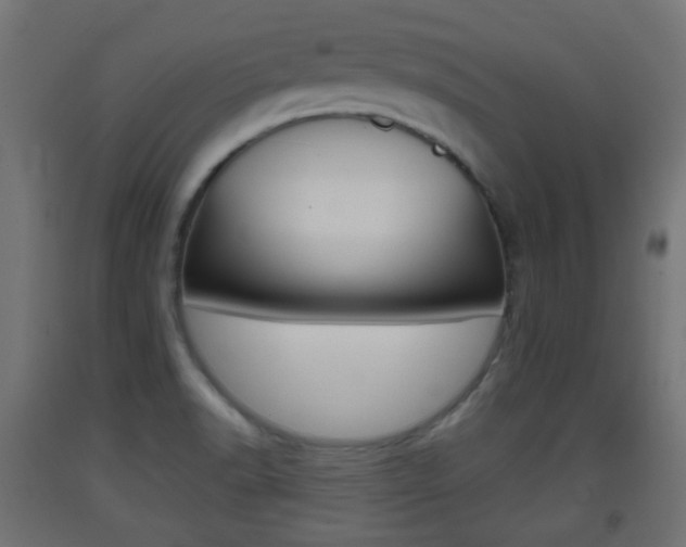 X0000093401518200710120845