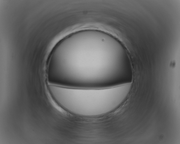 X0000093401519200710120845
