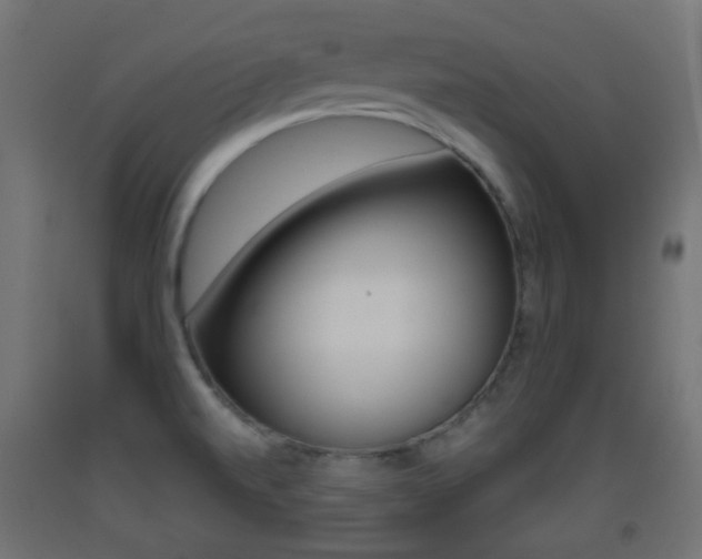 X0000093401520200710120845