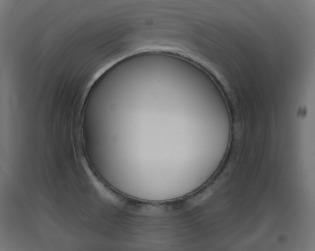 X0000093401521200710120845