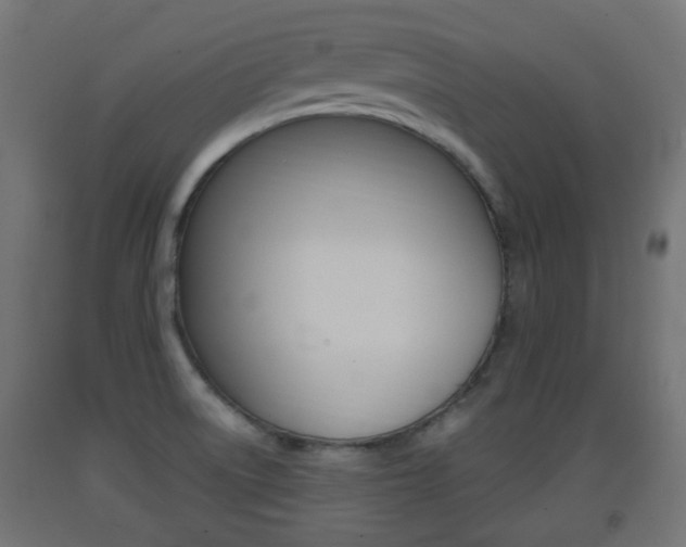 X0000093401522200710120845