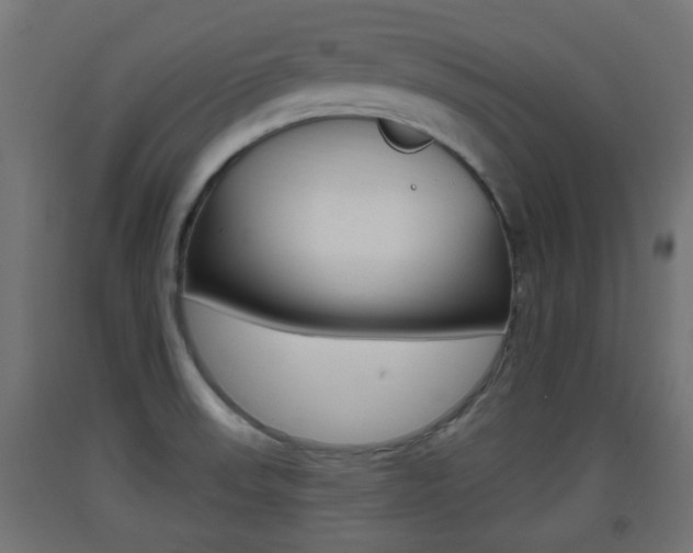 X0000093401523200710120845