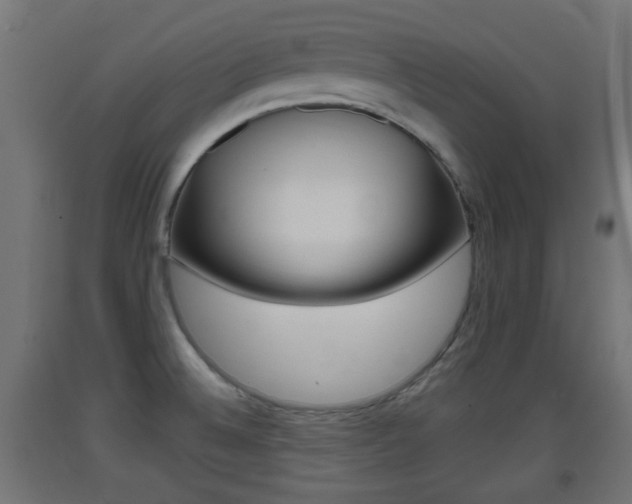 X0000093401524200710120845