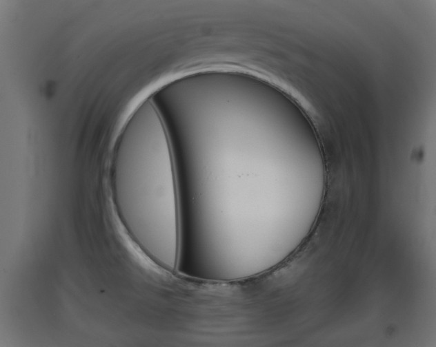 X0000093401526200710120845