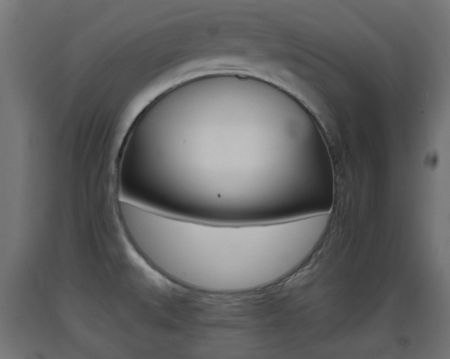 X0000093401527200710120845