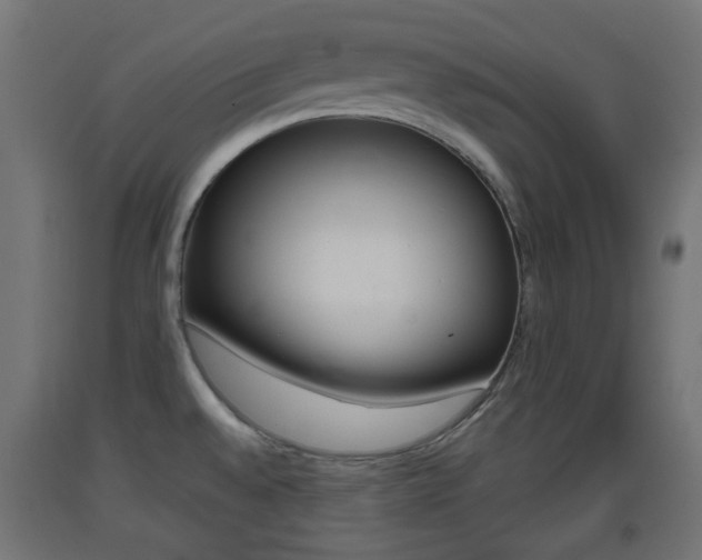 X0000093401528200710120845
